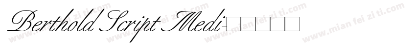 Berthold Script Medi字体转换